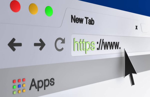 vector image of a browser address bar