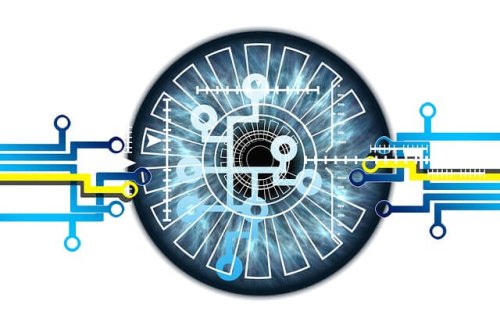 eye