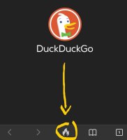 duckduckgo firebutton screenshot