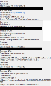 dns queries from pale moon