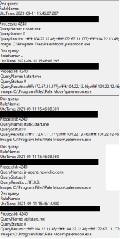 dns queries from pale moon 2